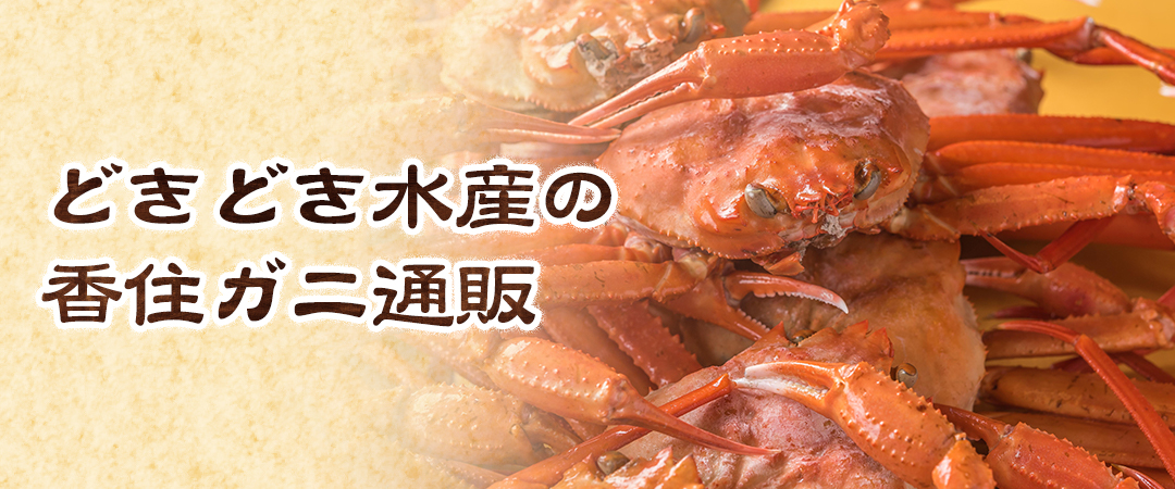 間違いないカニの通販はどきどき水産 香住漁港の蟹を尼崎からお届け 間違いないカニの通販はどきどき水産 香住漁港の蟹を尼崎からお届け
