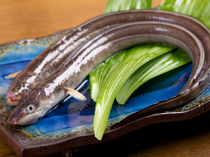 高松市内・屋島駅周辺にある「瀬戸内季節料理 魚夏（せとうちきせつりょうり うおなつ）」さんのクチコミレポート。穴子料理が人気の海鮮料理屋