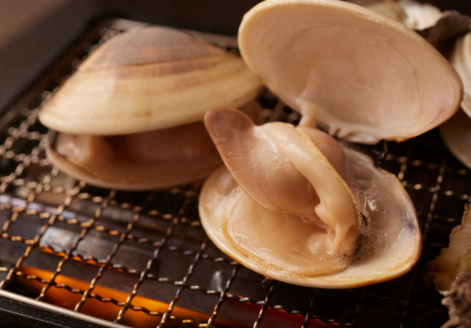 大阪、茨木｜海鮮居酒屋「浜焼きまるっぽ」牡蛎、はまぐり、貝料理と日本酒が人気