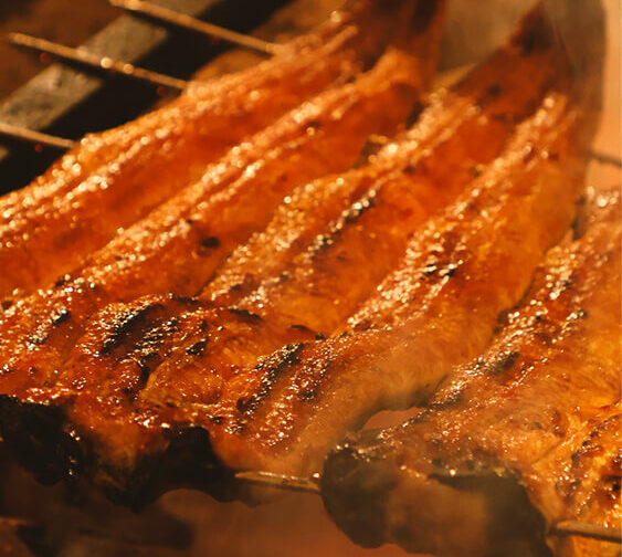 写真：皮はパリッと身はふっくらと焼き上げられた鰻