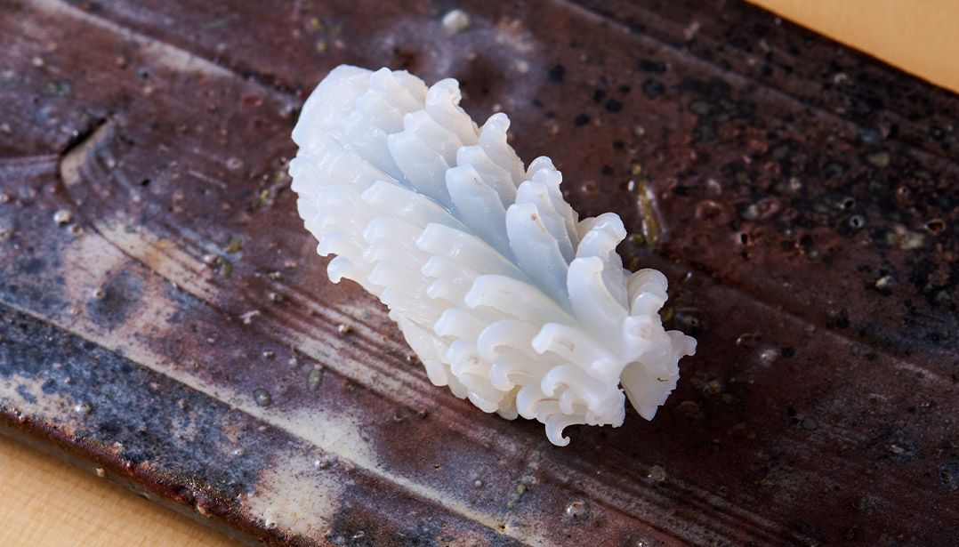 美味しい寿司を堪能