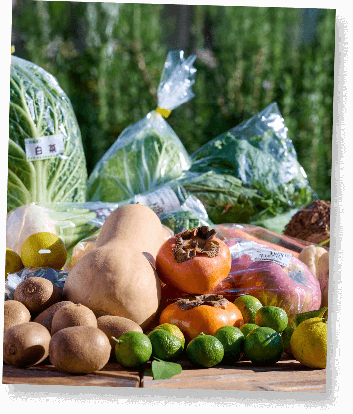 鮮度抜群の野菜