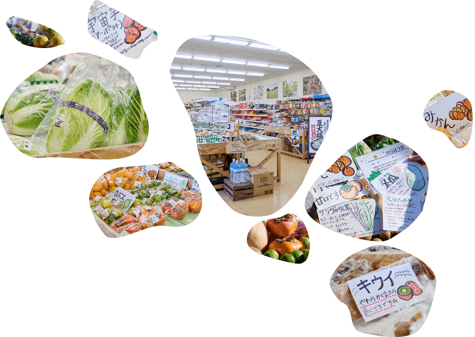 ギフトにも喜ばれる地元の名産品や加工品