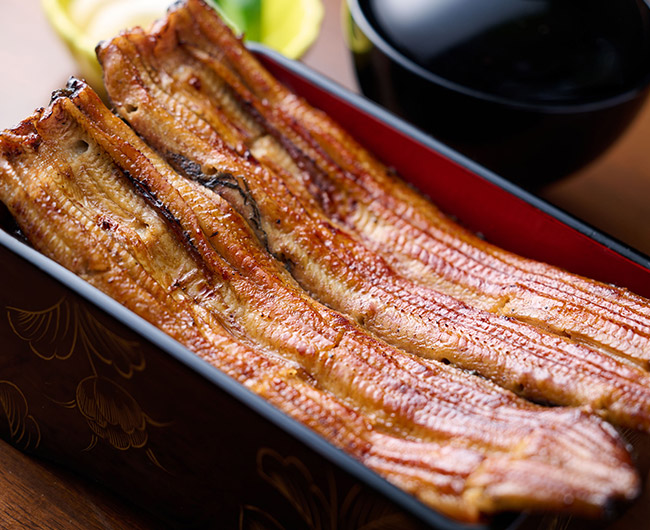 身が厚くて旨味たっぷりの共水鰻