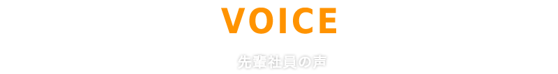 先輩社員の声